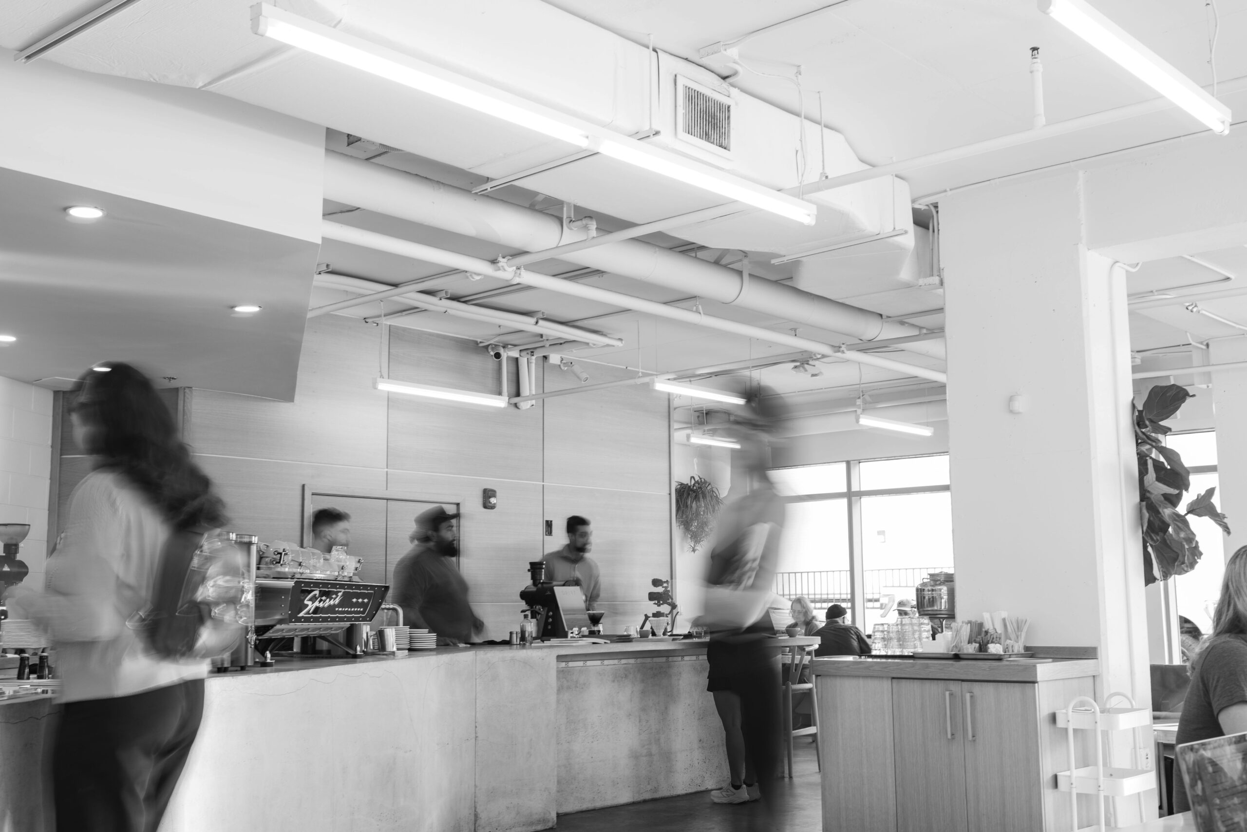 Fractional CMO vs Marketing Agency